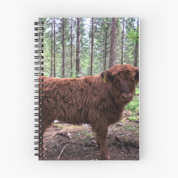 Item preview, Scottish Highland Cattle Calf 1794 designed and sold by SaarelaHighland.