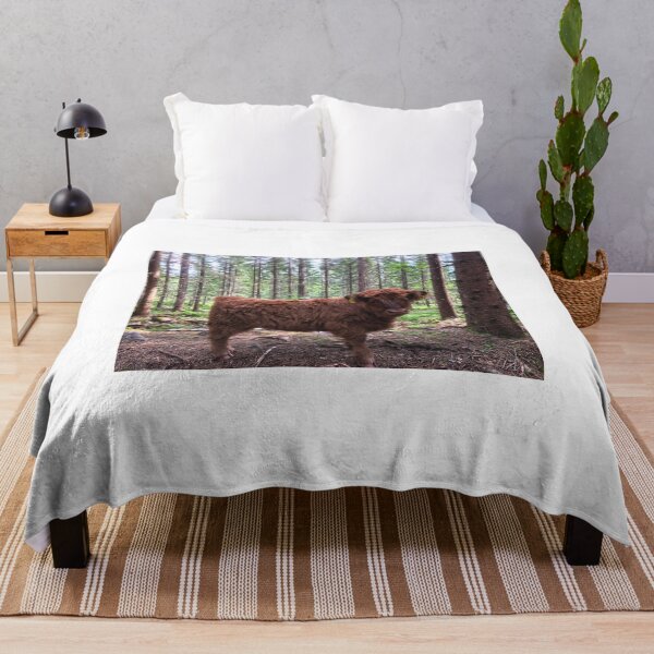 Item preview, Scottish Highland Cattle Calf 1794 designed and sold by SaarelaHighland.