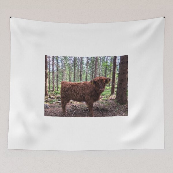 Item preview, Scottish Highland Cattle Calf 1794 designed and sold by SaarelaHighland.