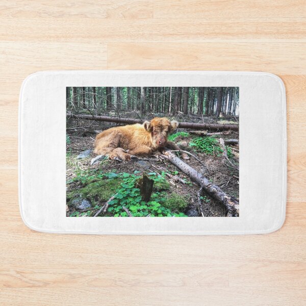 Item preview, Scottish Highland Cattle Calf 1795 designed and sold by SaarelaHighland.