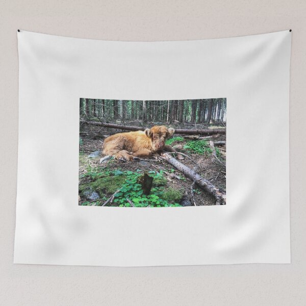 Item preview, Scottish Highland Cattle Calf 1795 designed and sold by SaarelaHighland.