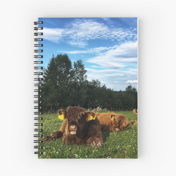 Item preview, Scottish Highland Cattle Calves 1796 designed and sold by SaarelaHighland.