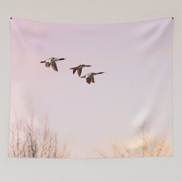 Item preview, Common Merganser / Grand Harle designed and sold by Yannik Hay.