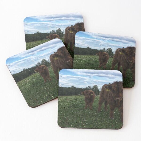 Item preview, Scottish Highland Cattle Calves 1797 designed and sold by SaarelaHighland.