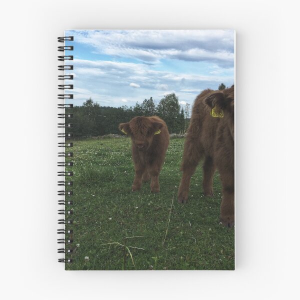 Item preview, Scottish Highland Cattle Calves 1797 designed and sold by SaarelaHighland.