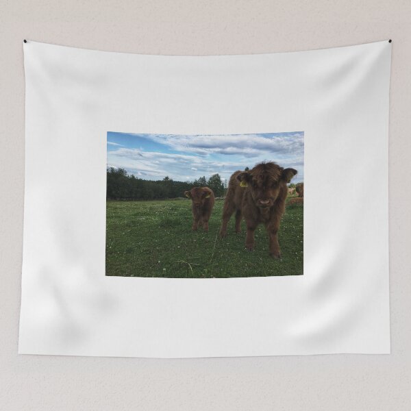 Item preview, Scottish Highland Cattle Calves 1797 designed and sold by SaarelaHighland.