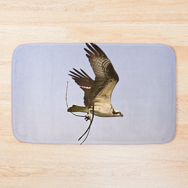 Item preview, Osprey - Balbuzard Pêcheur designed and sold by Yannik Hay.