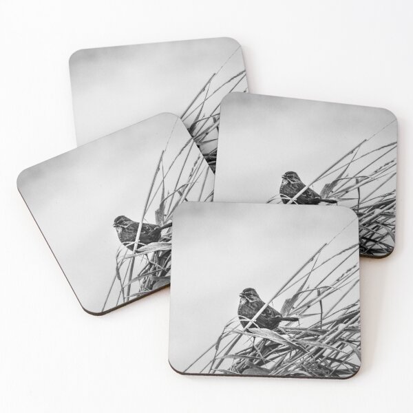 Item preview, Frosty Morning Sparrow, Black and White designed and sold by AvocaSpring.