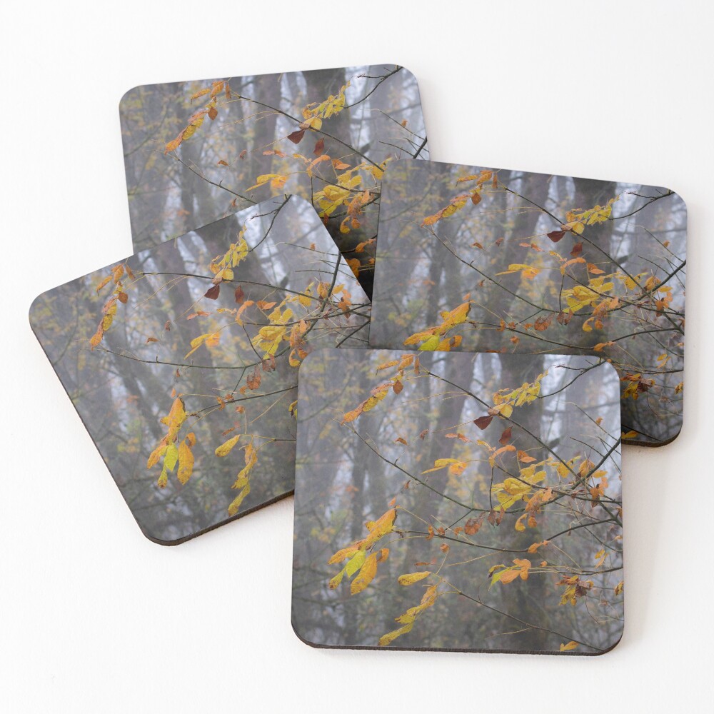 Item preview, Coasters (Set of 4) designed and sold by AvocaSpring.