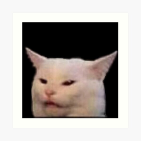 "cat meme " Art Print for Sale by calamity02 Redbubble