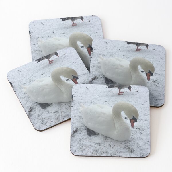 Aperçu de l'œuvre Cygne dans la neige créée et vendue par Mortinus.