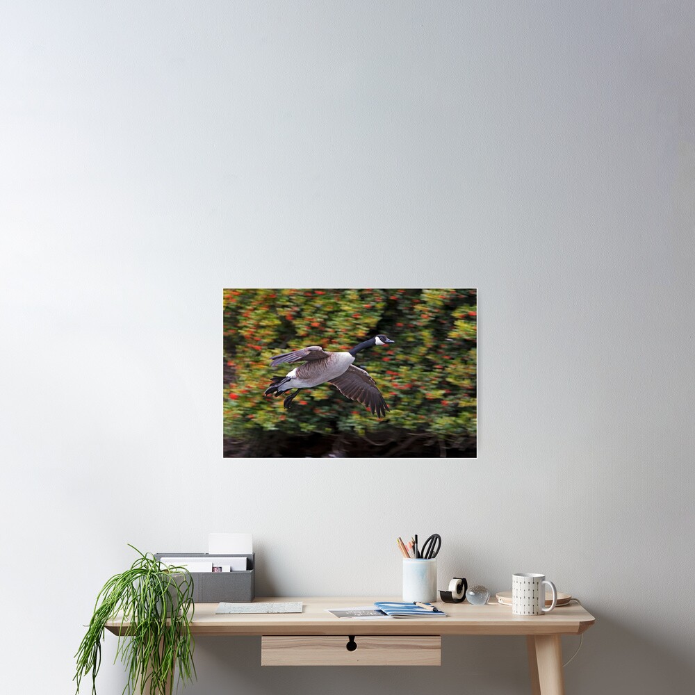 Item preview, Poster designed and sold by Rando.