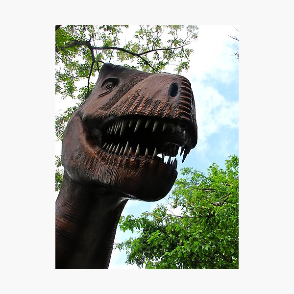 Tyrannosaurus rex Photographic Print