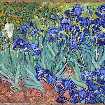 Aperçu de l'œuvre Van Gogh - Les Iris de NewNomads