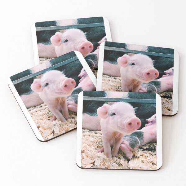 Item preview, most adorable piglet smile designed and sold by Eliza Hartman.