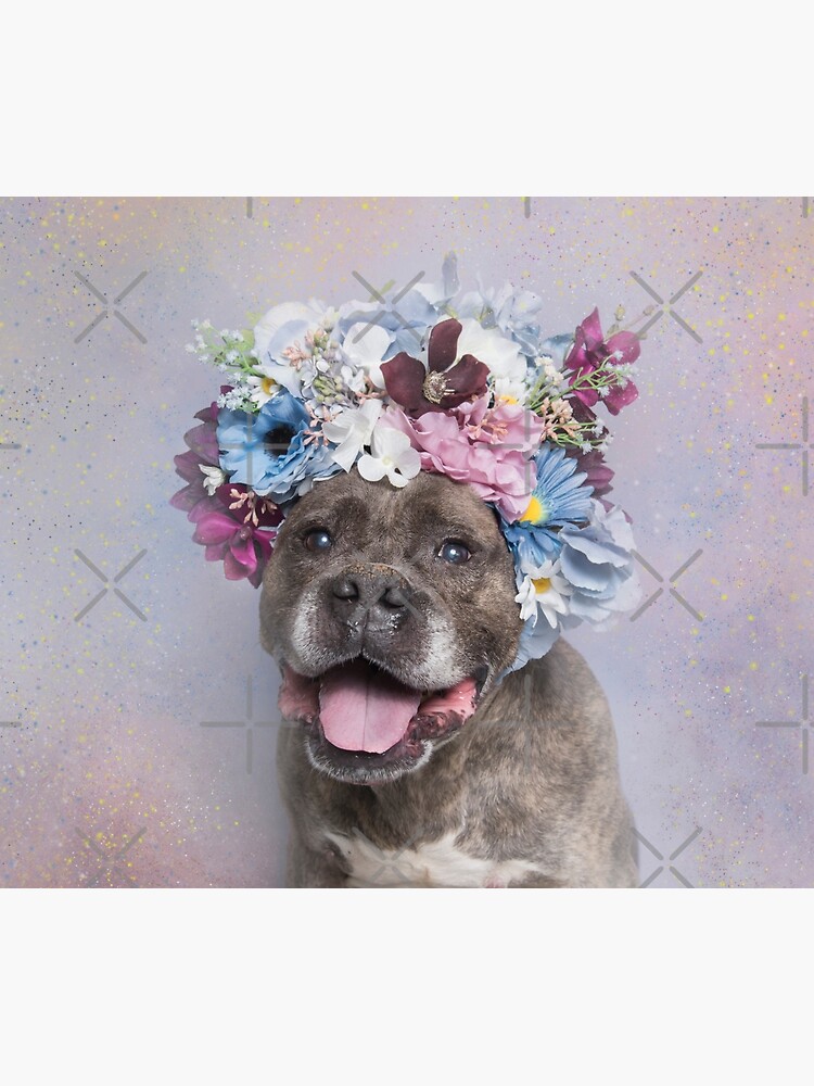 Flower Power, Rumple by SophieGamand