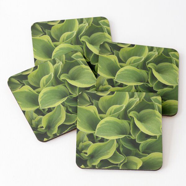 Item preview, Hosta designed and sold by stephenralph.