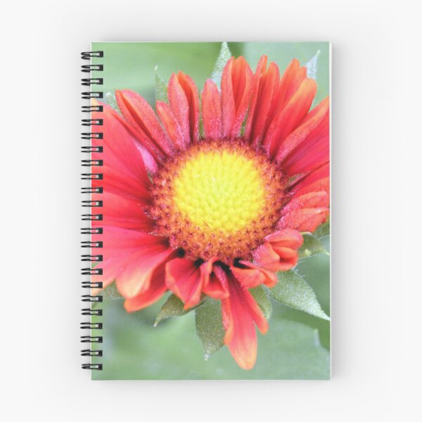 Item preview, Firewheel Daisy designed and sold by What I See by Dawne.