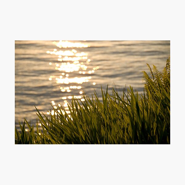 Item preview, Sunset designed and sold by JamesTH.