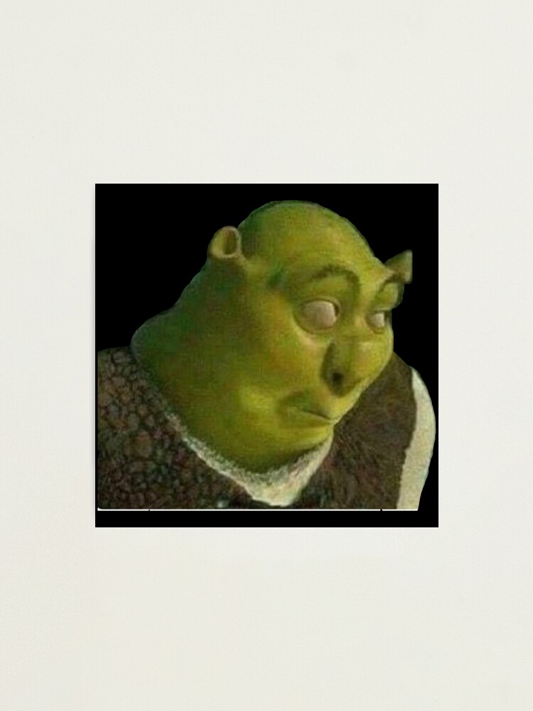 Shrek Meme Photographic Prints for Sale