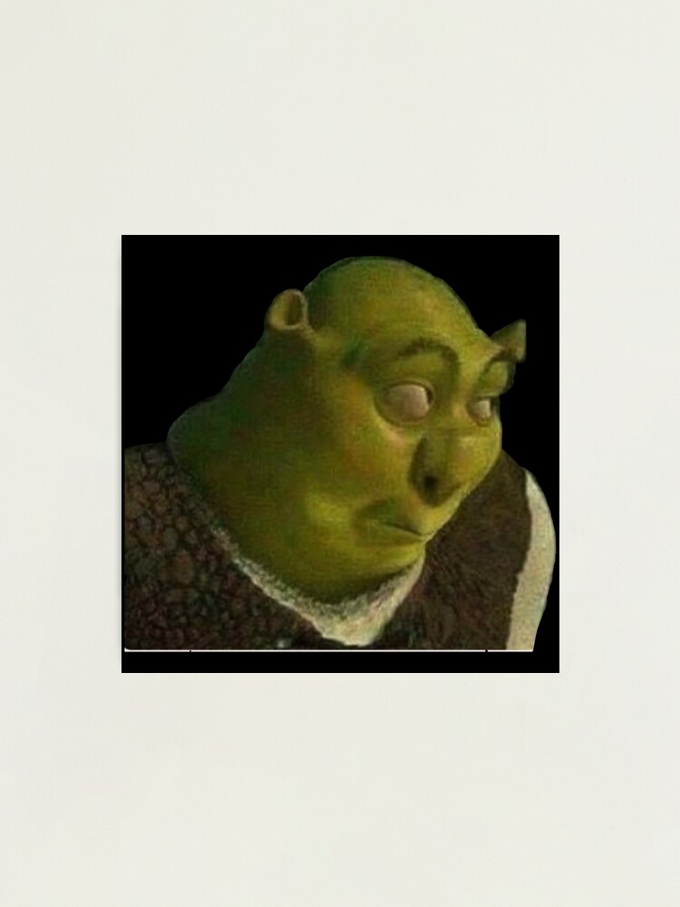 Shrek Face Meme Photographic Print for Sale by mylifeasgaia