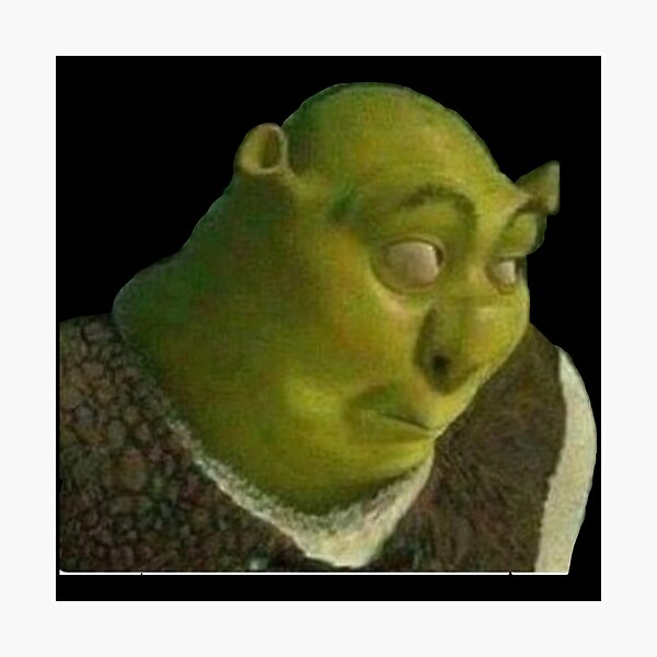 Shrek Face Meme Photographic Print for Sale by mylifeasgaia