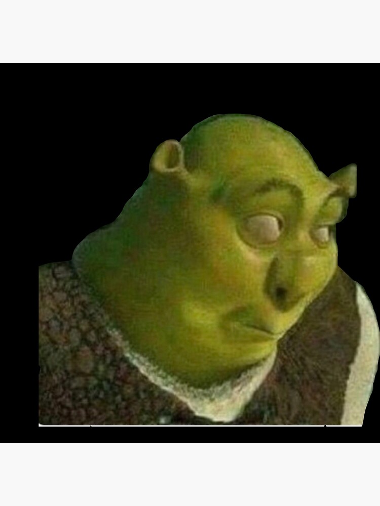 Divertente borsa tote meme Shrek confusa Borsa meme classica -  Italia