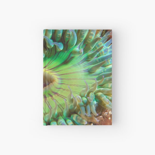 Aggregating Anemone Hardcover Journal