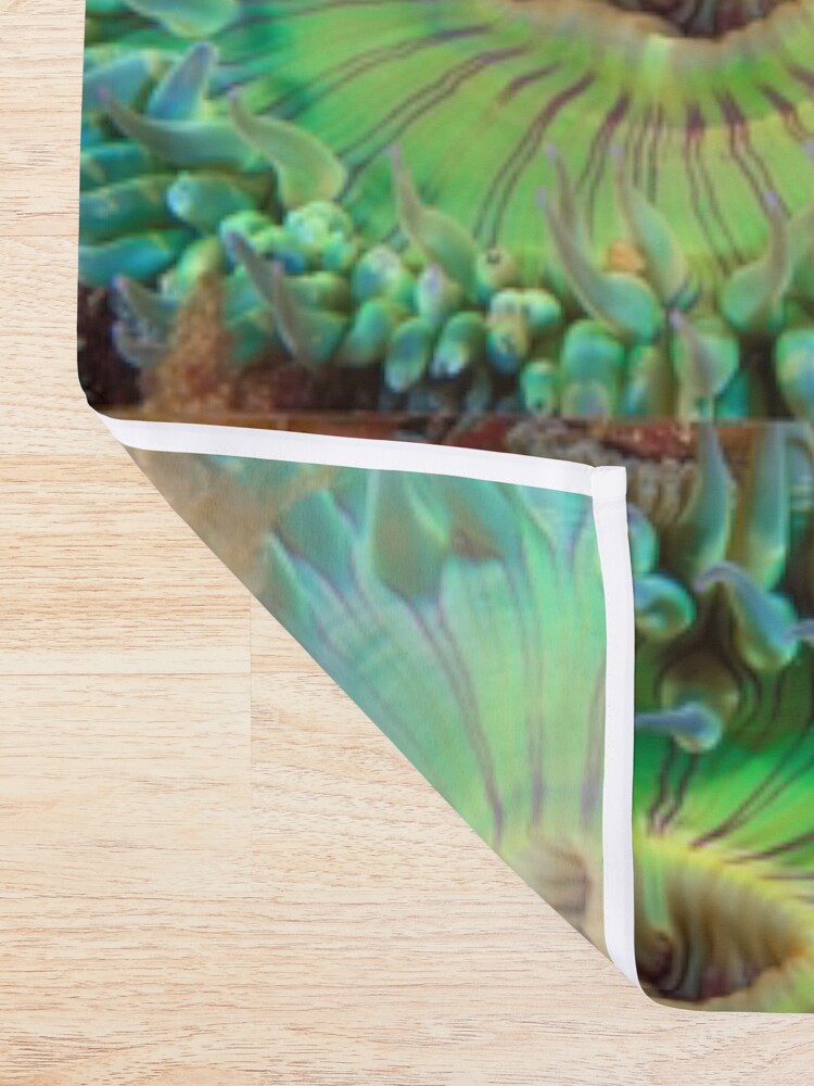 Alternate view of Aggregating Anemone Shower Curtain