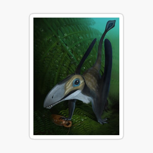 Item preview, Dimorphodon designed and sold by Harrison Pyle.