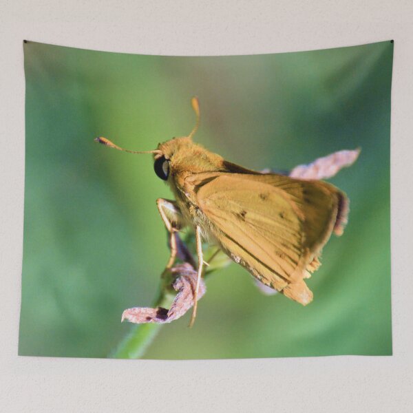 Item preview, The Fiery Skipper designed and sold by What I See by Dawne.