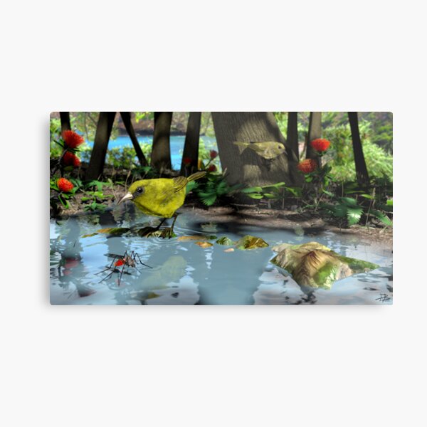 Oahu Amakihi Metal Print