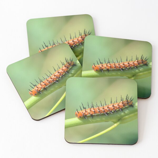 Item preview, Gulf Fritillary Caterpillar On The Move designed and sold by What I See by Dawne.
