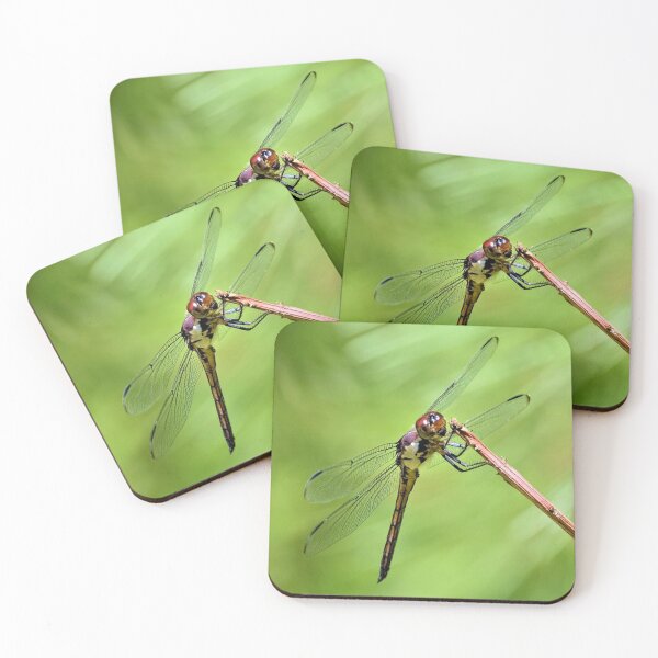 Item preview, The Slaty Skimmer Dragonfly designed and sold by What I See by Dawne.