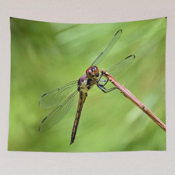 Item preview, The Slaty Skimmer Dragonfly designed and sold by What I See by Dawne.