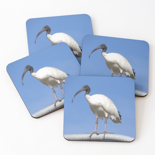 Item preview, Australian Ibis designed and sold by Genevieve Hanlon Art and Photography.