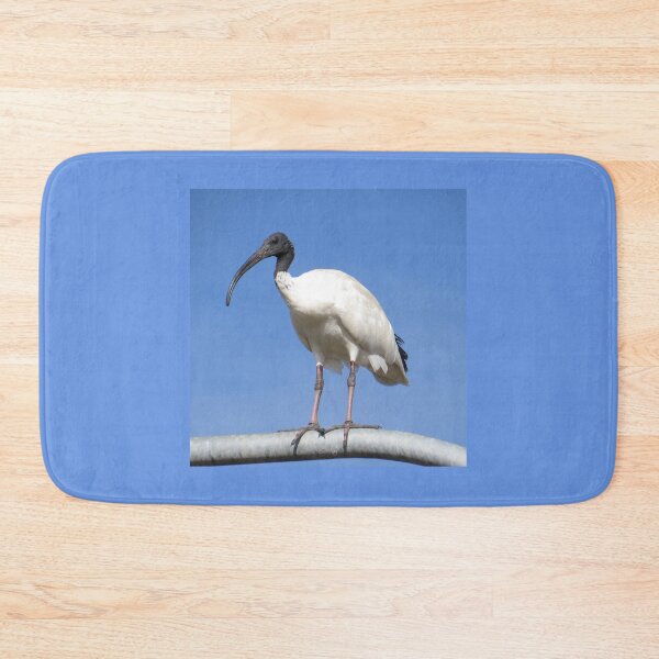 Item preview, Australian Ibis designed and sold by Genevieve Hanlon Art and Photography.