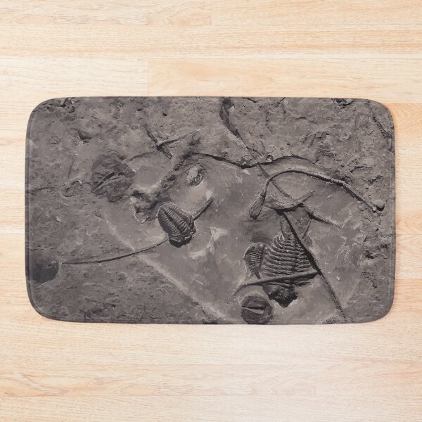 Item preview, Arthropoda and Echinodermata Soup designed and sold by Adrianna Allen.