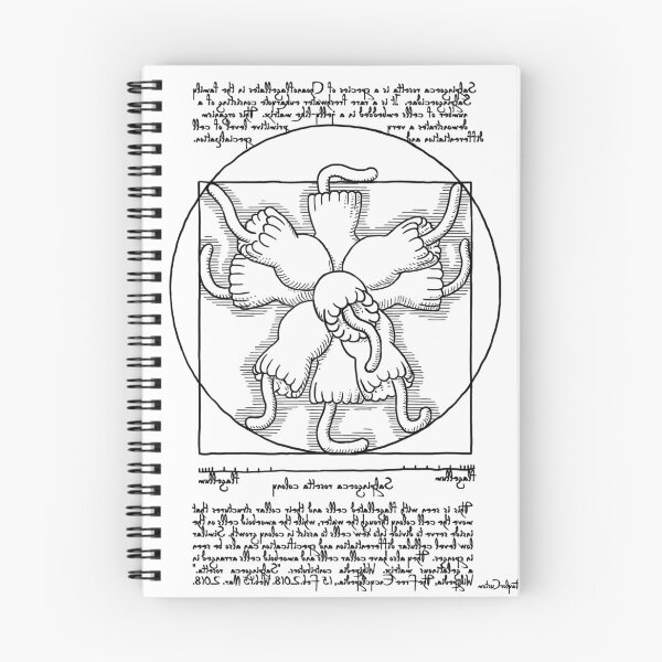 Item preview, Vitruvian Choanoflagellate Colony - Choanoflagellate Rosette designed and sold by taylorcustom.