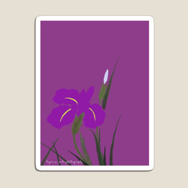 Purple Iris Poetry Magnet