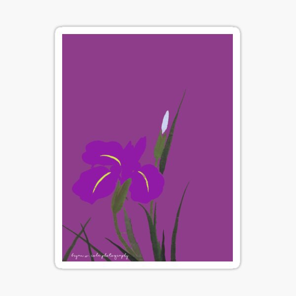 Purple Iris Poetry Sticker