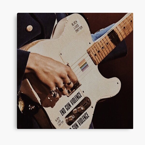 Harry Styles Canvas Print
