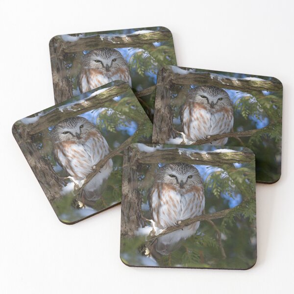 Item preview, Saw-whet owl under a snow covered branch designed and sold by James Cumming.