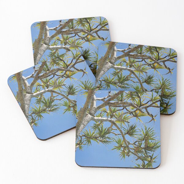 Item preview, Burleigh Heads Pandanus designed and sold by Selah Images.