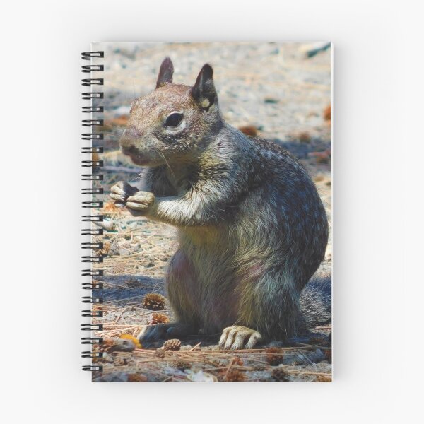 Item preview, Excitement designed and sold by MChabalaRussell.