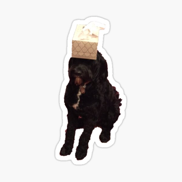 Artikel-Vorschau von Mein Hund mit Taschentüchern auf dem Kopf!, designt und verkauft von 19eostap.