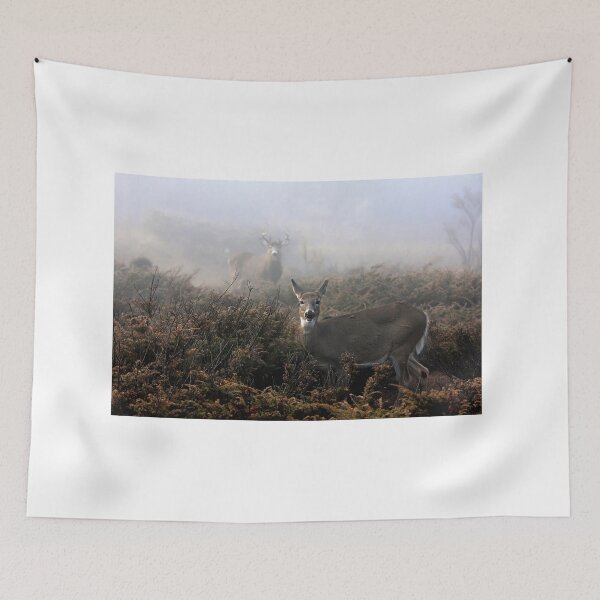 Item preview, The rut is on! - White-tailed deer in fog designed and sold by James Cumming.