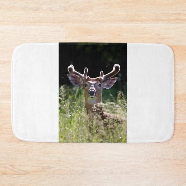 Item preview, He wore Velvet - White-tailed Deer designed and sold by James Cumming.