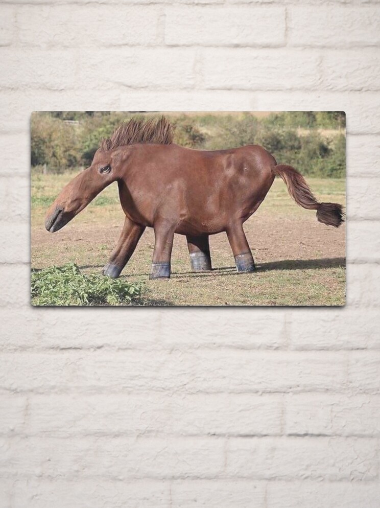 Warped horse meme Metal Print for Sale by HangLooseDraft