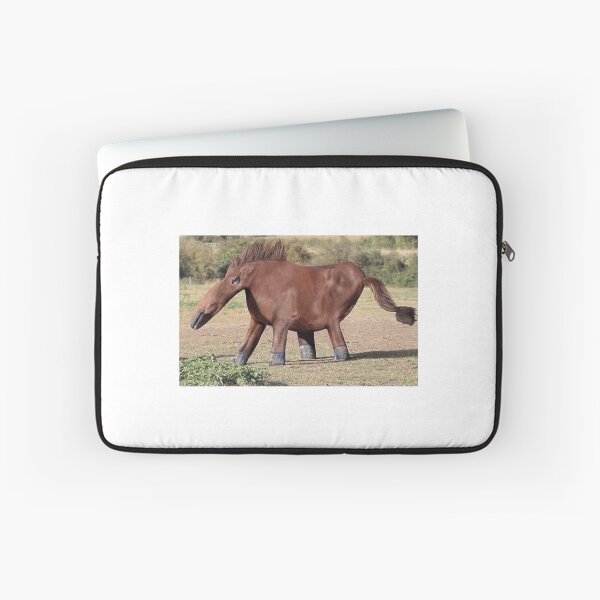Item preview, Warped horse meme designed and sold by HangLooseDraft.